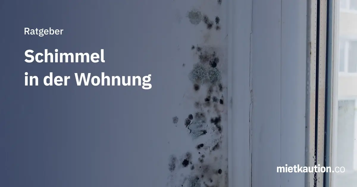 Schimmel in der Wohnung